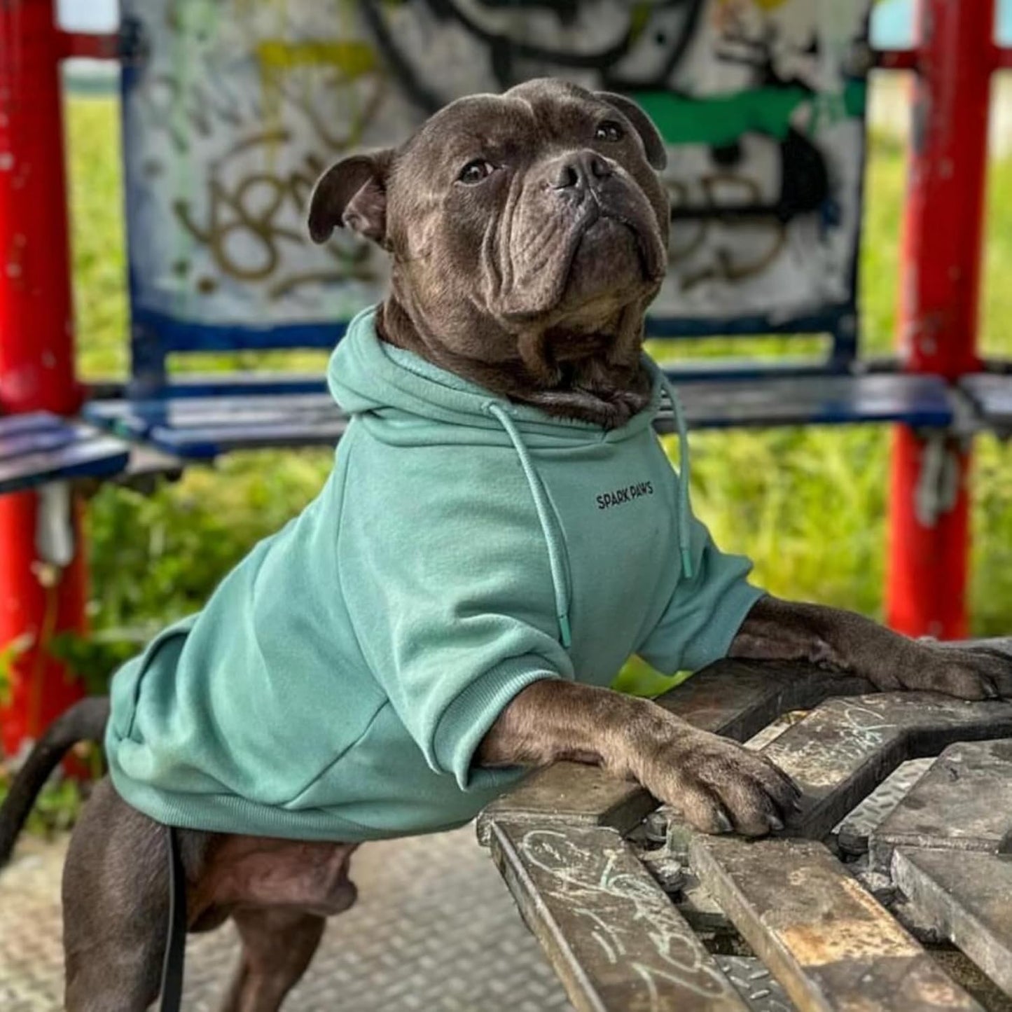 Spark Paws Dog Hoodie – Premium Dog Sweater for Small, Medium, and Large Dogs | Warm Outfits for French Bulldogs, Pitbull, Puppy, Winter Jacket Alternative - Teal - XL