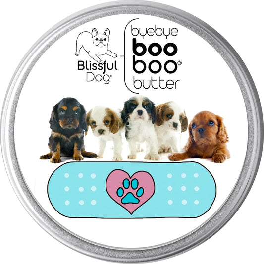 The Blissful Dog 1 oz TIN Cavalier King Charles Spaniel Booboo Butter