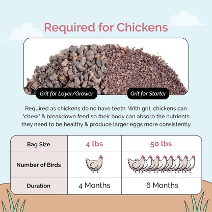 Chick Grit for Baby Chicks - Chickens Age 0-8 Weeks, 100% Natural Mineral Chick Grit Quartzite, Poultry Grit Digestive Aid, USA Mined, 50 lb