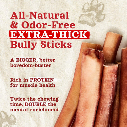 Natural Farm Odor-Free Thick Bully Sticks (12”, 5-Pack) All-Natural Long-Lasting Dog Chews, 100% Beef Pizzle, Grass-Fed, Grain-Free, Protein for Muscle Development & Energy, Perfect for Large Dogs
