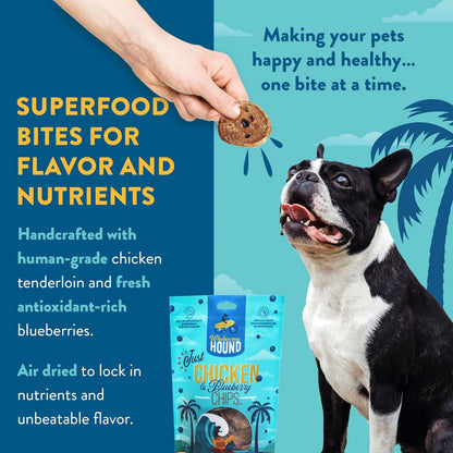 Chicken & Blueberry Chips – 2 Simple Ingredient Dog Treats, All Natural & Healthy Training Snacks for Small, Medium & Large Breeds, Puppies – High Protein, Made in USA 3oz