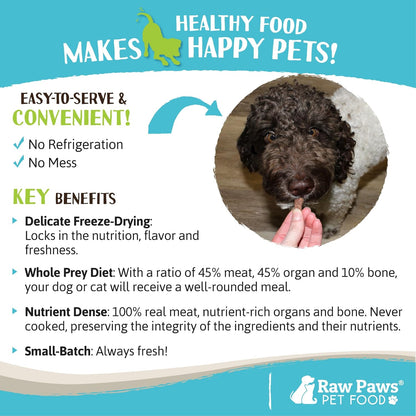 Raw Paws Freeze Dried Dog Food & Cat Food - Beef Recipe, 16-oz - Made in USA - Freeze Dried Raw Dog Food - Raw Food for Dogs - for Cats
