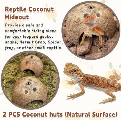 PINVNBY Natural Coconut Reptile Hideouts Lizard, Coco Hut Hermit Crab Hut Aquarium Fish Hide Cave for Small Reptile Crested Gecko Leopard Gecko Spider Snail Climber Toys (2 PCS Natural Surface)
