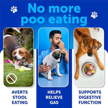 No Poo Chews for Dogs - Coprophagia Stool Eating Deterrent - Stop Eating Poop Treats with Probiotics, Digestive Enzymes, Pumpkin - Prevent Dog, Puppy from Eating Poop - Gut Health Support Supplement