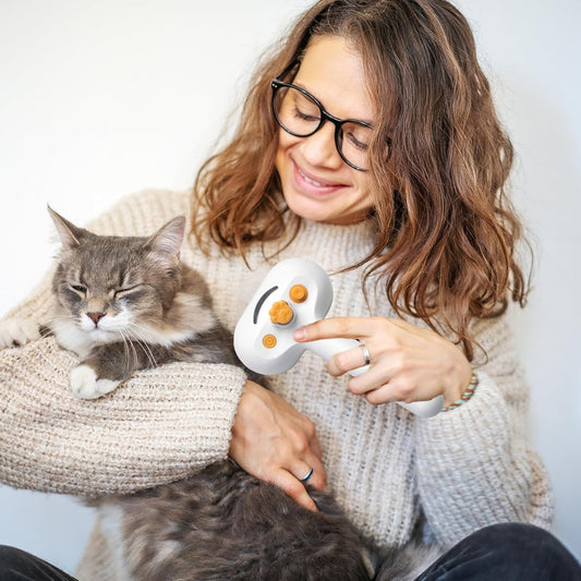 Pet Steam Brush for Cats and Dogs, 4 in 1 Spray Depilatory Comb, Cat Brush with Self-cleaning and Massage Functions Perfect for Long-haired and Short-haired Pets