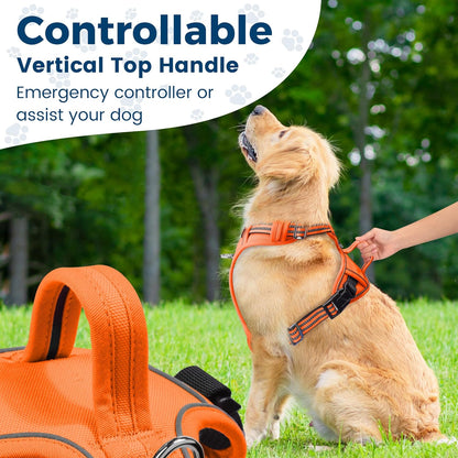 Funfox Dog Harness No Pull, Adjustable Pet Vest Harness, Super Soft Material with Vertical Handle Easy Control, Reflective Night Walking, 2 Leash Clips for Large Dogs, Orange, L