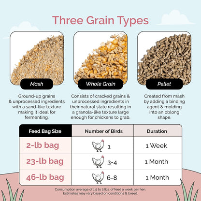 Organic Chicken Feed – Layer Whole Grain, Non-GMO, USA Grown, 16% Protein, Corn-Free, Soy-Free, Non-Medicated Feed for Chickens, 23 lbs