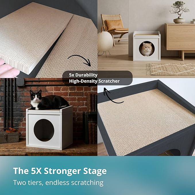 Meowdium Cat House – Cat Condo with Cardboard Scratcher, Scratching Post, Bed & Toy Storage, Cozy Cat Furniture & Accessories for Indoor Cats, White