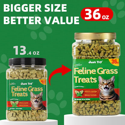 Just Try 36 OZ Cat Treats for Indoor Cats Hairball Control Natural Salmon Healthy Cat Grass Treats Kitten Snacks Training Biscuits Catnip for Cats Dental Care