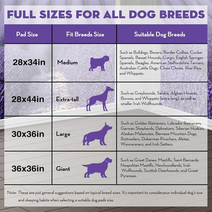 CROCI Dog Pads Extra Large 30x36in, Puppy Pads with Adhesive Tabs Super Absorbent Up to 10 Cups, Disposable (40 Counts)