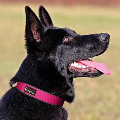 Plutus Pet Tactical Dog Collar, Reflective, Adjustable Heavy Duty Dog Collar, Soft Padded and Comfortable, for Small Medium and Large Dogs (Hot Pink, L)