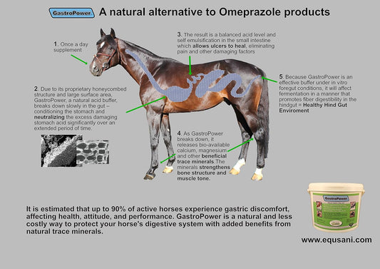 GastroPower Digestible Free Fatty Acid Feed Concentrate for Horses