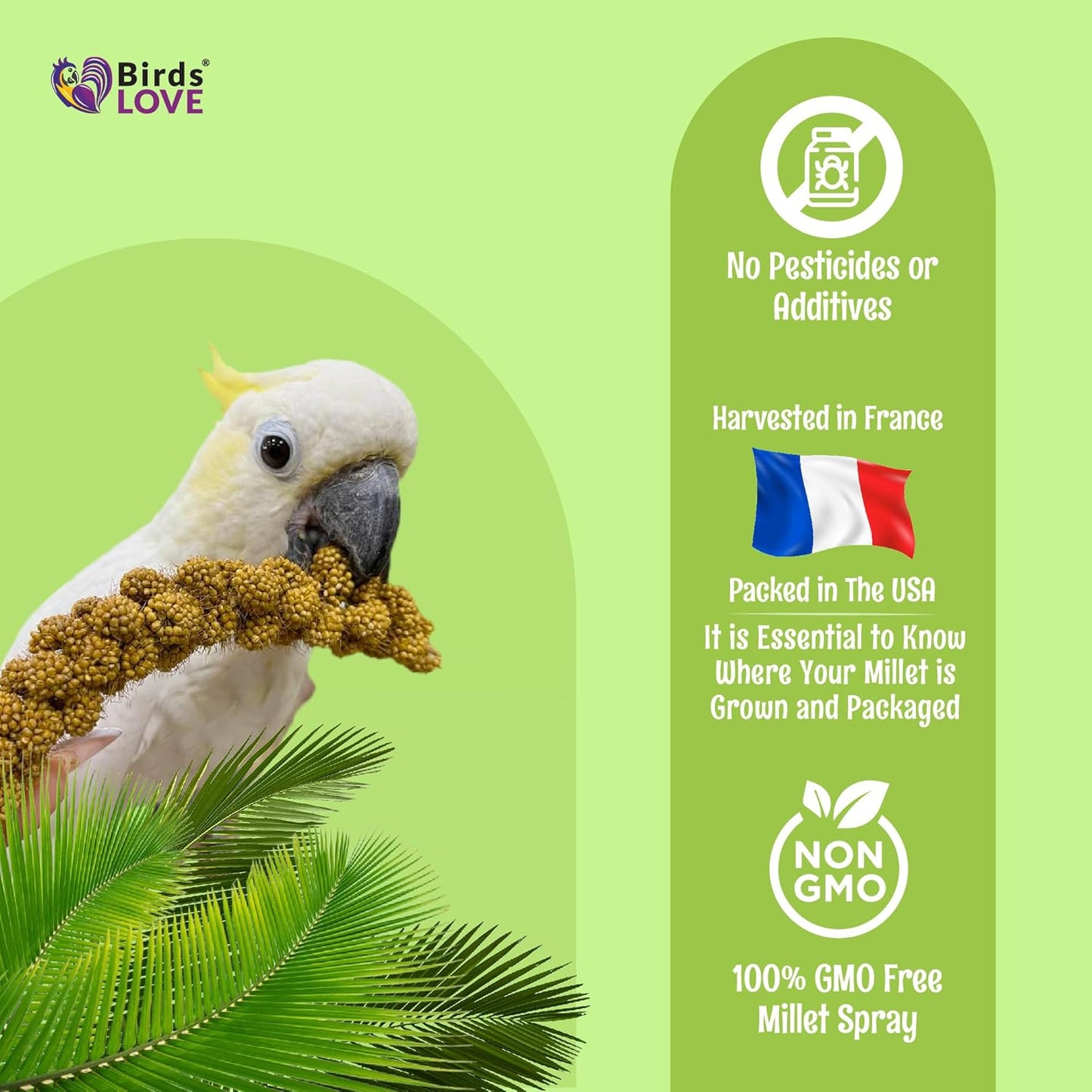 Birds LOVE French Kissed Spray Millet for Birds - Parakeets, Cockatiels, Lovebirds, Finches, Budgies, Canaries, Cockatoos - Natural & Healthy Bird Millet - Parakeet Food & Treats for all Parrots 25lbs