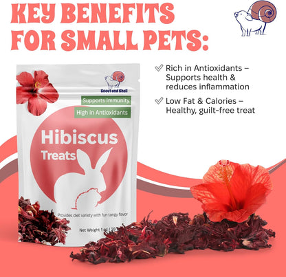 Snout and Shell Floral Favorites 4-in-1 Natural Treats for Small Pets – Pea Flakes, Marigold, Rose Petals & Hibiscus – Healthy Snacks for Rabbits, Guinea Pigs, Chinchillas & More