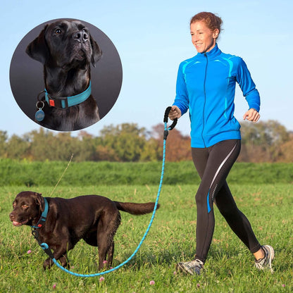 Heavy Duty Dog Leash - Comfortable Padded Handle, 5 ft Long - Dog Leashes for Small Medium Large Dogs (Leash+Collar L Neck 20"-25", Blue)