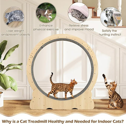 Tangkula Cat Wheel for Indoor Cats, 40 Inch Large Cat Exercise Wheel with Lockable Mechanism, Carpeted Runaway, Wooden Ultra Low Noise Running Treadmill with a Teaser Toy for Kitty Fitness
