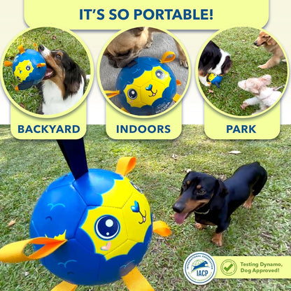 Race&Herd 9" Jolly Soccer Ball for Dogs - Tough Durable Dog Ball Toy with Straps, Pet Bouncy Herding Balls for Dogs, Floating Dog Balls with Tags for Water Fetch (BaaBaaBall, Daddy Sheep)