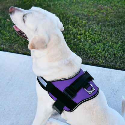Dogline Dog Harness, Reflective No-Pull Adjustable Vest with Handle for Walking, Training, Breathable, No - Choke Harness for Small, Medium or Large Dogs Room for Patches Girth 27 to 34 in Purple