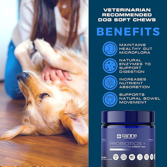Probiotics for Dogs | Soft Chews with Digestive Enzymes, Pumpkin & Prebiotics | Supports Gut Health, Immunity, Stool Quality & Nutrient Absorption | Peanut Flavor, 90 Count