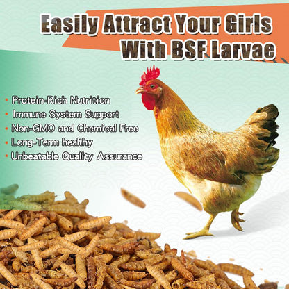 Dried Black Soldier Fly Larvae, 85X More Calcium Than Mealworms High-Protein BSF Larvae Chicken Treats Non-GMO BSFL for Chickens, Hens, Ducks, Wild Birds 5LBS