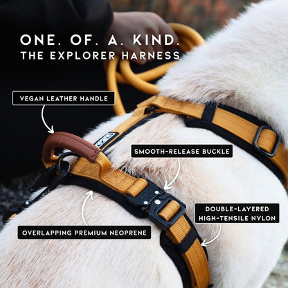 MADE TO ROAM Premium Explorer Harness - Y-Shaped Dog Harness with Adjustable Durable Nylon, Soft Padding, Metal Buckles and Leather Handle for Small, Medium, Large Dogs (Michigan Autumn, Size 2)