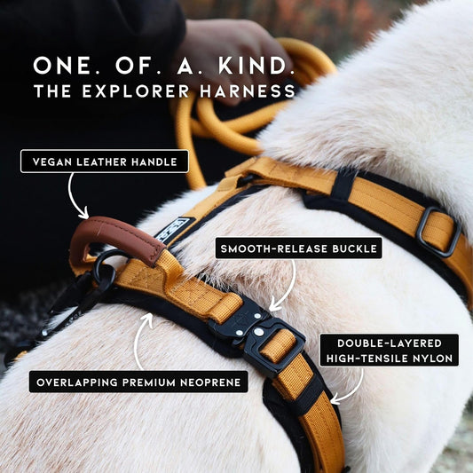 MADE TO ROAM Premium Explorer Harness - Y-Shaped Dog Harness with Adjustable Durable Nylon, Soft Padding, Metal Buckles and Leather Handle for Small, Medium, Large Dogs (Texas Flair, Size 4)