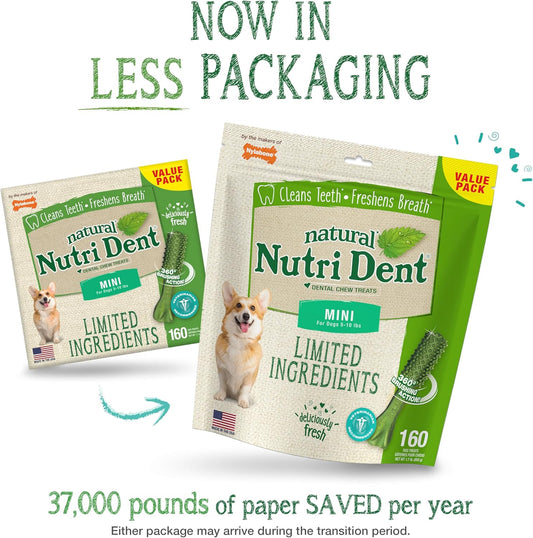 Nylabone Nutri Dent Dog Dental Chews - Natural Dog Teeth Cleaning & Breath Freshener - Dental Treats for Dogs - Fresh Breath Flavor, Mini (160 Count)