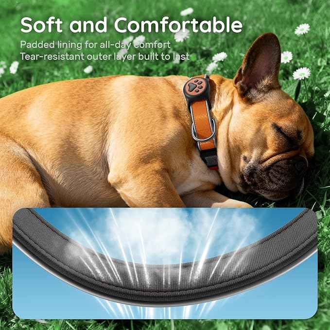 Airtag Dog Collar, IPX8 Waterproof Air Tag Dog Collar Holder | Reflective Ultra-Durable | Soft Padded | Safety Locking Buckle | Fit Miedium Dogs (Orange M(12.6"-19.6"))