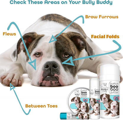 The Blissful Dog 8 oz TIN American Bulldog Booboo Butter