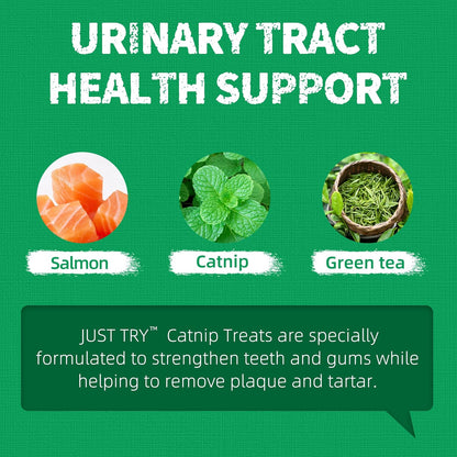 Just Try 13.4 OZ Crunchy Cat Treats Catnip Treats for Cats with Digestive Support, Natural Ingredients Kitten Treats with Real Salmon, Healthy Feline Snacks Training Biscuits Dental Care