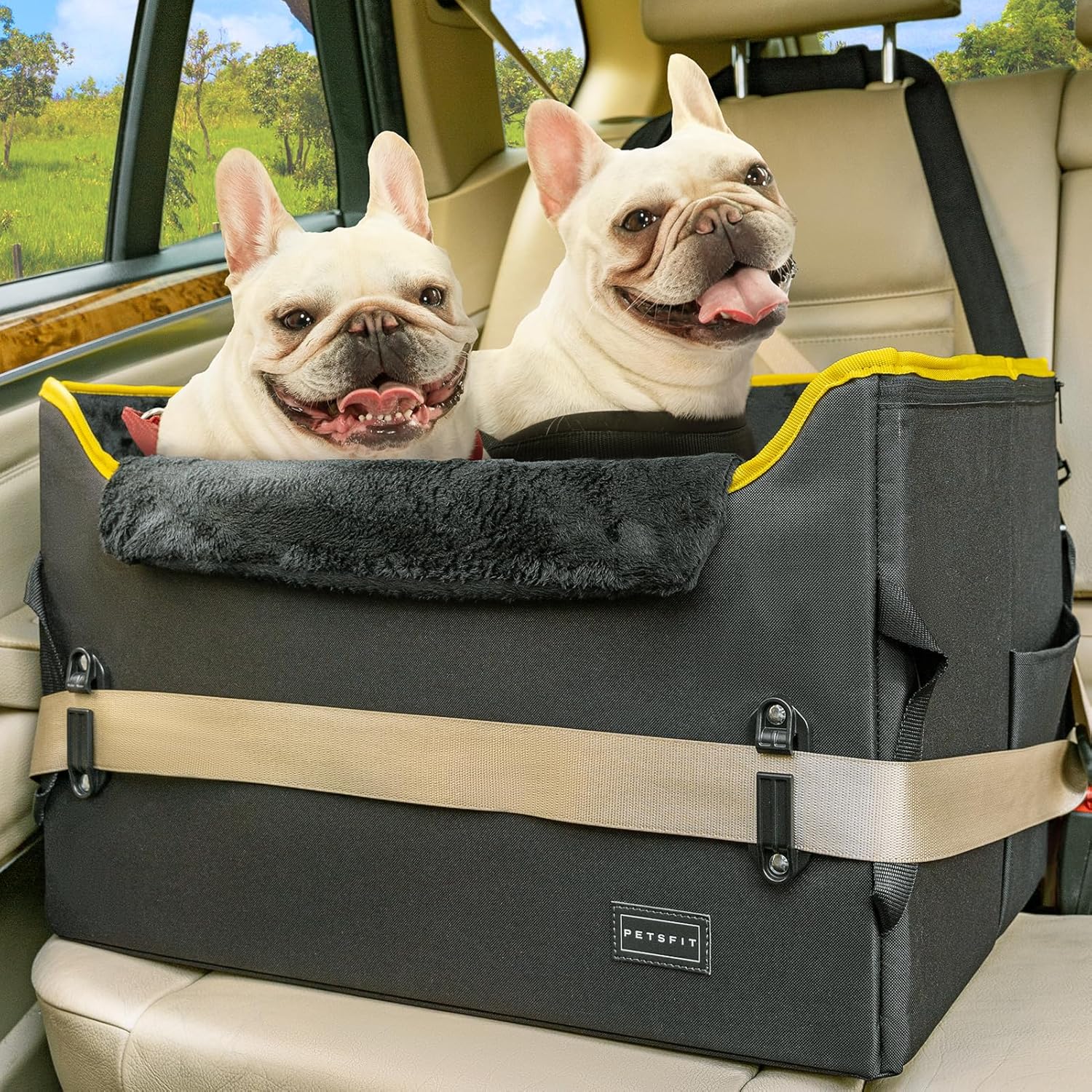 PETSFIT Dog Booster Car Seat, Dog Car Seats for Medium Sized Dogs or 2 Small Pets with 2 Safety Leashes and Patented Buckles, Carseat for Dogs with Storage Pockets for Pets Under 45Lbs (Black) - Pawvie