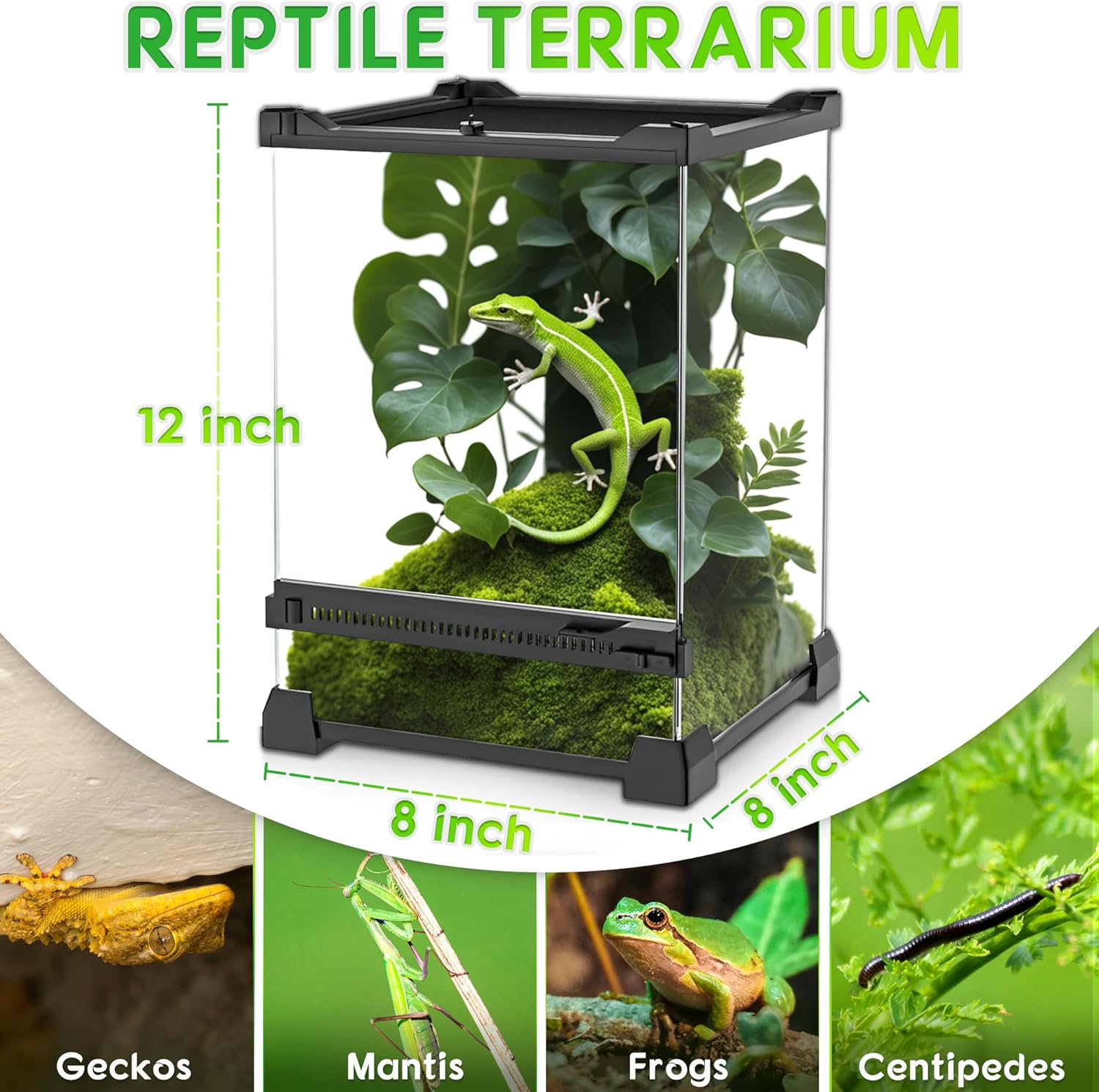 Mini Reptile Glass Terrarium 8"x8"x12" Durable Reptile Habitat Tank with Heat Resistant Aluminum Alloy Frame, Single Swinging Doors for no Jam by Sand and Other Debris - Pawvie