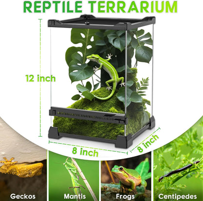 Mini Reptile Glass Terrarium 8"x8"x12" Durable Reptile Habitat Tank with Heat Resistant Aluminum Alloy Frame, Single Swinging Doors for no Jam by Sand and Other Debris - Pawvie