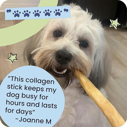 Pawstruck Natural Large 10-13” Beef Collagen Braids for Dogs – Long-Lasting Rawhide & Bully Stick Alternative, with Chondroitin & Glucosamine – 3 Pack