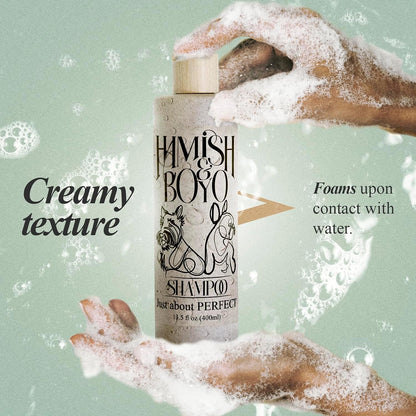 Natural Itch Relief Dog Shampoo – Hypoallergenic & Anti-Itch, Soothes Dry, Sensitive Skin, Oatmeal & Aloe, Lavender Scent, Tear-Free, Safe for Puppies & All Breeds, Made in USA by Hamish&Boyo