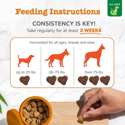 Zesty Paws Dog Allergy Relief - Anti Itch Supplement - Omega 3 Probiotics for Dogs - Salmon Oil Digestive Health - Soft Chews for Skin & Seasonal Allergies - with Epicor Pets – Hemp - 90 Count…