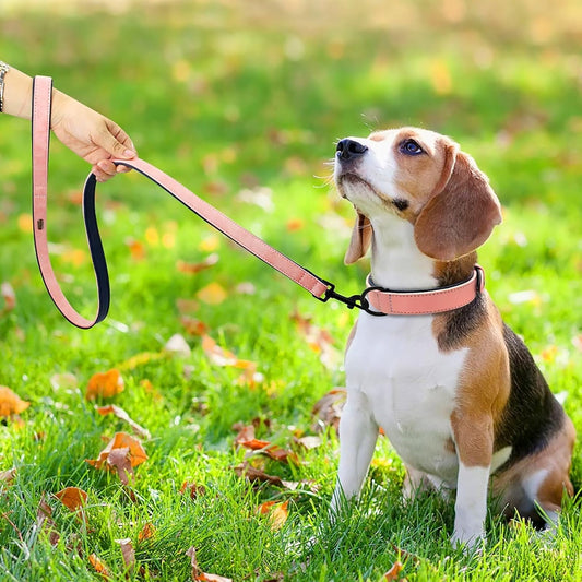 Didog Soft Padded Leather Dog Collar and Leash Set,Pink Breathable Pet Collars with 4FT PU Leather Dog Leash for Small Medium Large Dogs, Pink, M