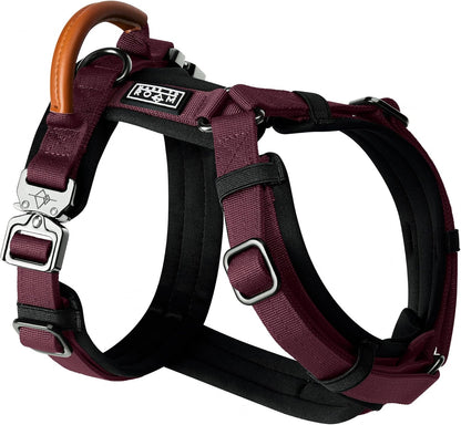 MADE TO ROAM Premium Explorer Harness - Y-Shaped Dog Harness with Adjustable Durable Nylon, Soft Padding, Metal Buckles and Leather Handle for Small, Medium, Large Dogs (Vermont Weekends, Size 2)