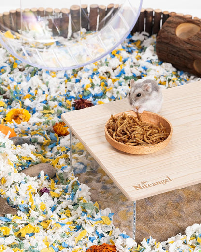 Niteangel Small Animal Snack & Treats - Small Critter Natural Treat for Dwarf Syrian Hamsters Gerbils Mice Sugar Glider Hedgehogs Chickens Birds