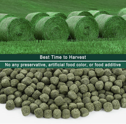 Timothy Hay Cubes 11 oz -100% Natural Timothy Hay Made for Rabbits Sulcata Tortoise Guinea Pig, 11 oz