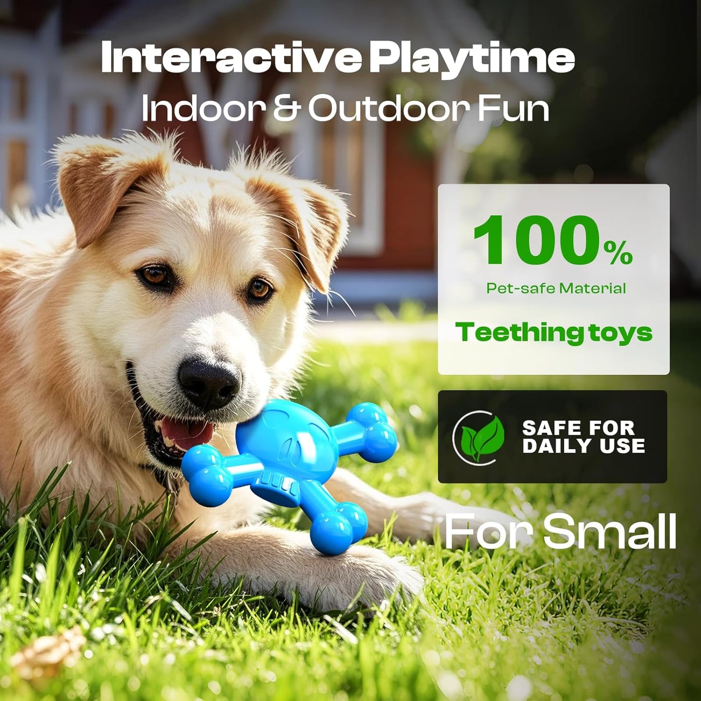 Dog Chew Toys for Aggressive Chewers – Indestructible Nylon Bone for Puppy Teething,Tough Chew Toy for Small Dogs, Bacon Flavor and Outdoor Fun, Skull Design