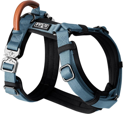 MADE TO ROAM Premium Explorer Harness - Y-Shaped Dog Harness with Adjustable Durable Nylon, Soft Padding, Metal Buckles and Leather Handle for Small, Medium, Large Dogs (California Horizon, Size 2)
