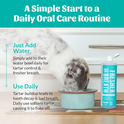 SKOUT'S HONOR Fresher Breath Water Additive for Pets - VOHC Accepted for Tartar Control, Freshens Breath Fast, No Brushing Required: Fresh & Flavorless 16oz - 3 Pack