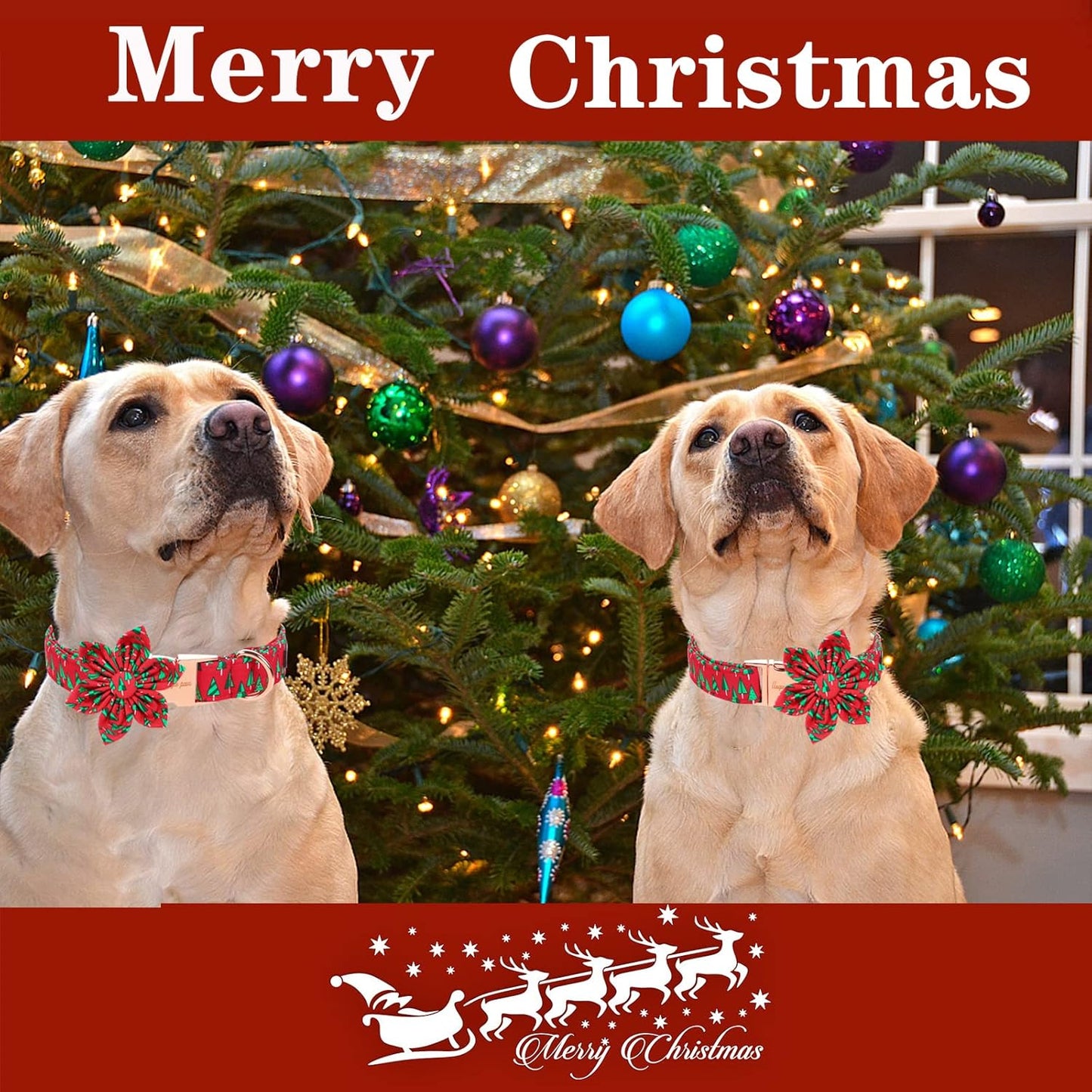 Unique style paws Christmas Dog Collar with Flower Best Winter for Small Medium Large Dogs -Christmas Tree-XL