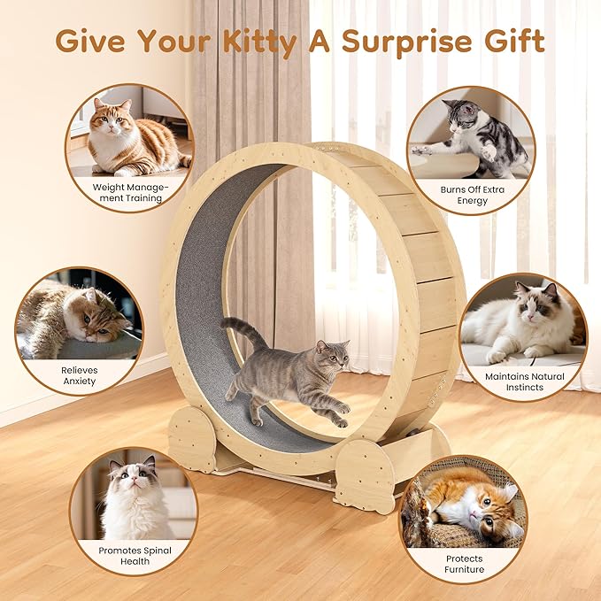 Cat Wheel for Indoor Cats, 46" Large Cat Exercise Wheel with Detachable Carpet, Silent Cat Treadmill with Safety Lock for Small & Adult Cats, Quiet for Nighttime Use, Natural Wood Color