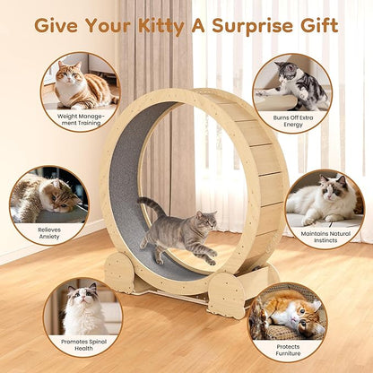 Cat Wheel for Indoor Cats, 46" Large Cat Exercise Wheel with Detachable Carpet, Silent Cat Treadmill with Safety Lock for Small & Adult Cats, Quiet for Nighttime Use, Natural Wood Color