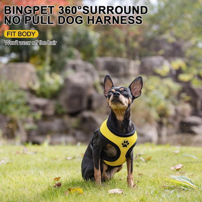 BINGPET No Pull Dog Harness, Soft Mesh Breathable All Weather Vest, Safety Protection Design, Durable Adjustable Step-in Easy Walk Harness for Small Dogs (Yellow, XS)