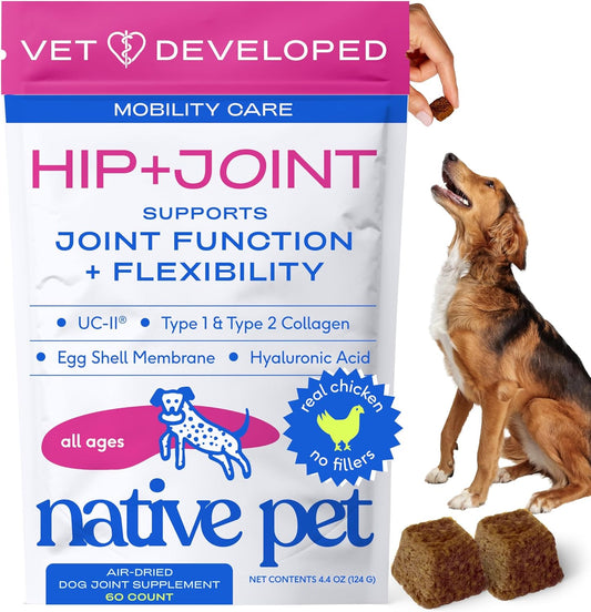 Native Pet Hip & Joint Supplement for Dogs - Advanced Dog Joint & Arthritis Supplement - Helps Maintain Healthy Cartilage, Joint Flexibility, Lubrication, & Function - with ESM & Collagen - 60 Chews
