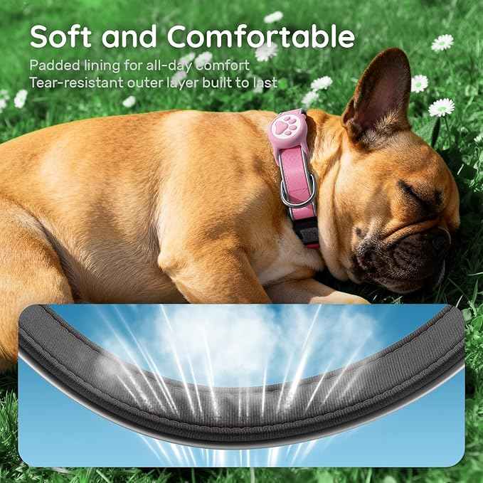 Reflective Dog Collar with Airtag Holder, IPX8 Waterproof Air tag Dog Collar Holder | Ultra-Durable | Soft Padded | Safety Locking Buckle | Fit Small Dogs (Neon Pink S(9.8"-15.7"))