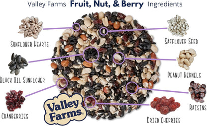 Valley Farms Fruit Nut & Berry (4 LB) Wild Bird Food Outside Feeders, Bird Seed with Dried Fruit, Peanuts, Sunflower, and Safflower, High Energy Mix for Healthy Birds!